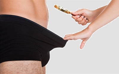 Moški spolni ud – penis